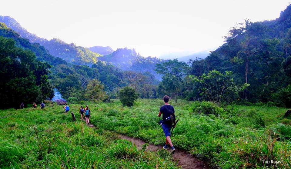 17522794 10155164046904138 8689799218431068034 n